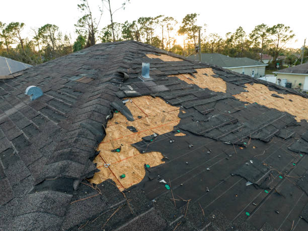 Best Storm Damage Roof Repair  in Sweeny, TX