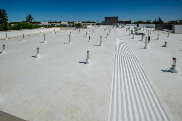 Best Skylight Installation and Repair  in Sweeny, TX